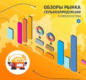 «СиСорт» презентует основанные на искусственном интеллекте сервисы для аграриев на Зимней зерновой конференции