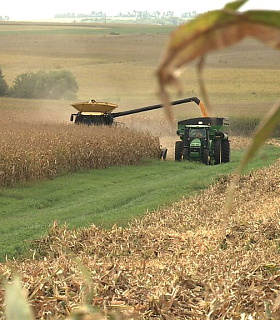 Corteva Agriscience увеличила площадь под производство семян в России на 42%